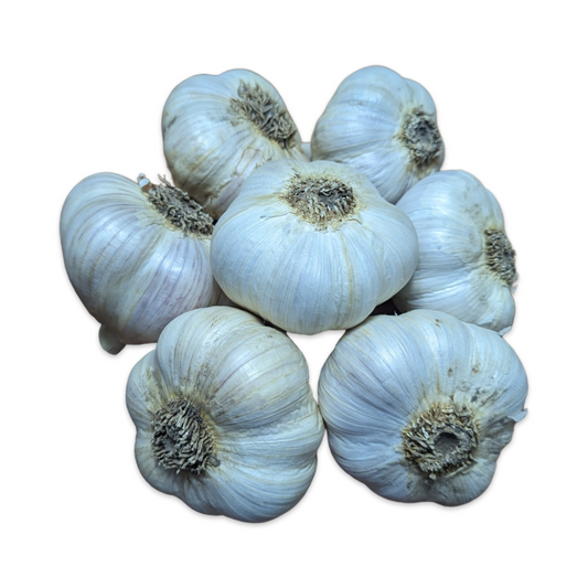 Certified Organic Garlic, music