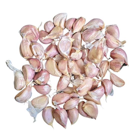 Garlic seeds, Canadian grow